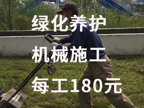 綠化養(yǎng)護(hù)